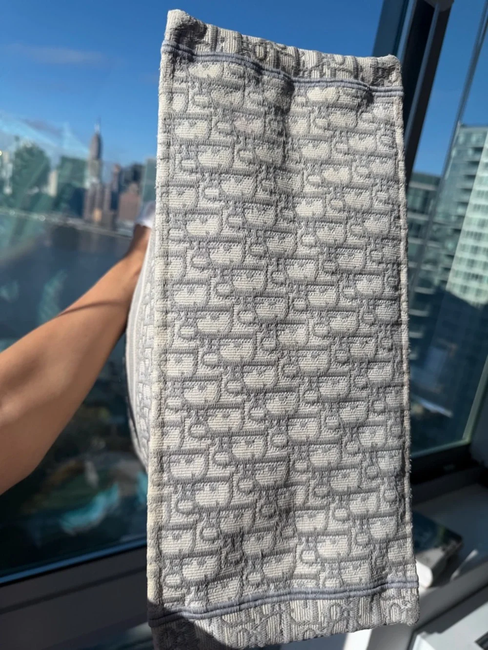 Christian Dior Large Book Tote Gray Oblique Embroidery Authentic Dust Bag - Picture 8 of 12